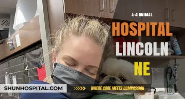 Compassionate Care at A-4 Animal Hospital in Lincoln, NE