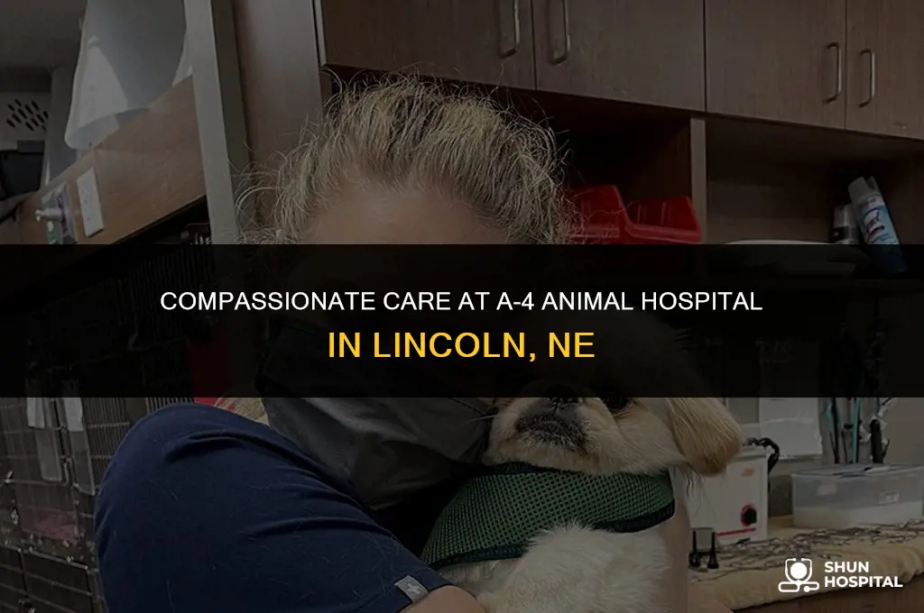 a-4 animal hospital lincoln ne
