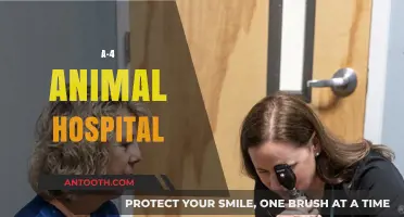 A-4 Animal Hospital: Compassionate Care for Your Beloved Pets