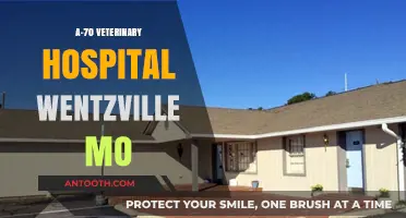 Compassionate Care at Wentzville's A-70 Veterinary Hospital