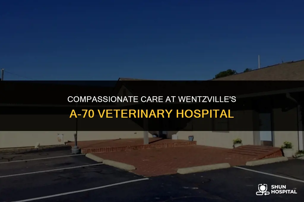 a-70 veterinary hospital wentzville mo