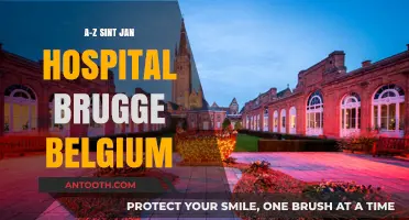 Sint-Jan Hospital: A to Z Guide to Belgium's Historic Healthcare Haven