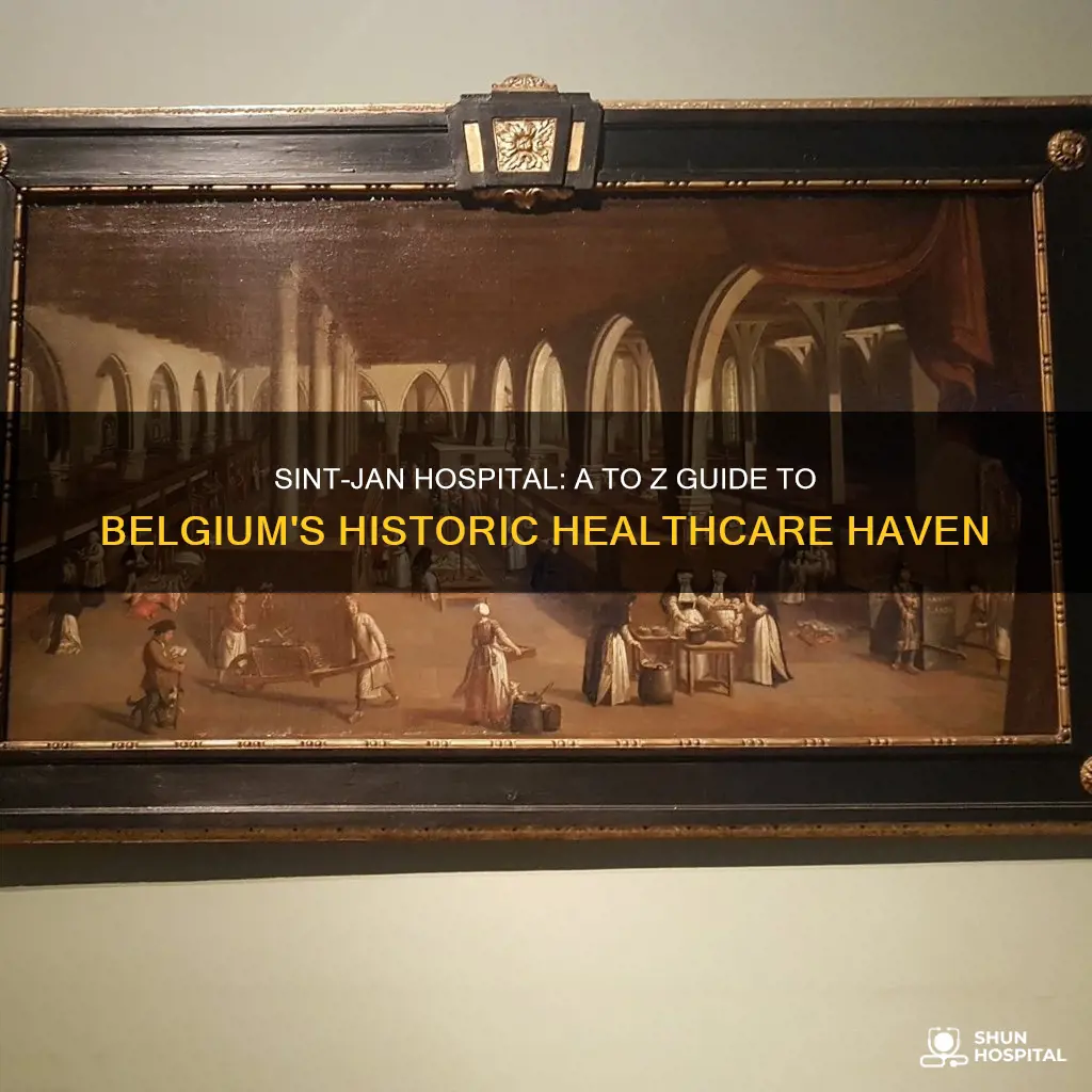 a-z sint jan hospital brugge belgium