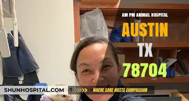 Austin's AM-PM Animal Hospital: Comprehensive Care for Your Pets