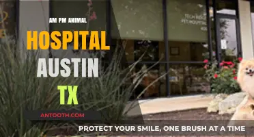 Compassionate Care Around the Clock: Austin's Premier Animal Hospital