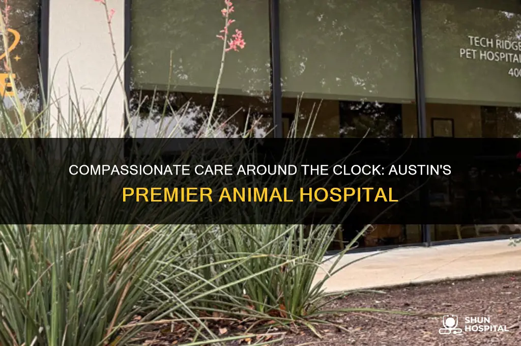 am pm animal hospital austin tx