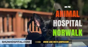 AM PM Animal Hospital Norwalk: Compassionate Care for Your Pets