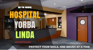 Compassionate Care Around the Clock: Yorba Linda's AM PM Animal Hospital