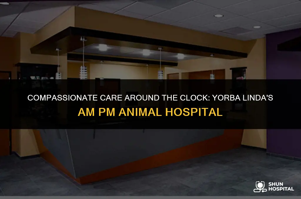 am pm animal hospital yorba linda