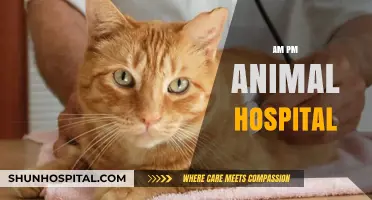 AM PM Animal Hospital: 24/7 Care for Your Furry Friends