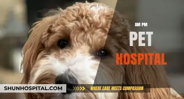 AM PM Pet Hospital: 24/7 Care for Your Furry Family