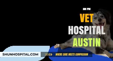 AM PM Vet Hospital Austin: 24/7 Pet Care Excellence