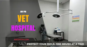 AM PM Vet Hospital: 24/7 Care for Your Furry Friends