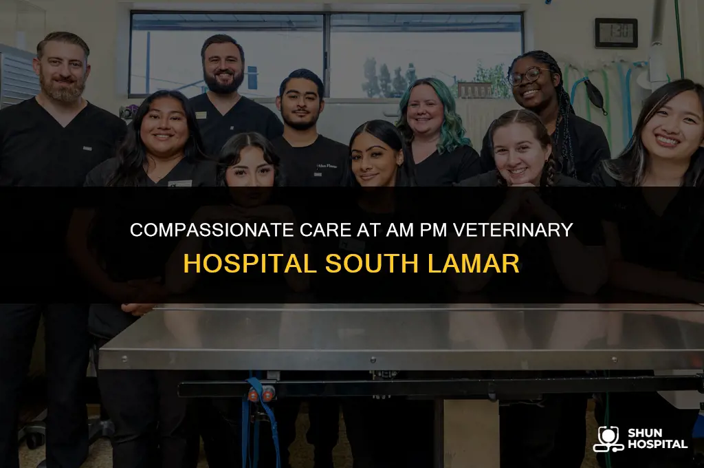 am pm veterinary hospital south lamar