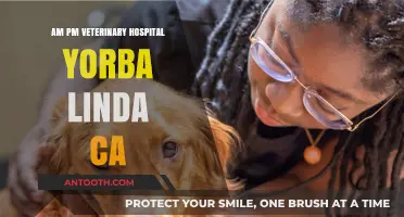 Veterinary Care: AM-PM Hospital in Yorba Linda, CA