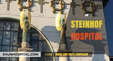 Exploring the Historic Am Steinhof Hospital: Architecture, History, and Legacy