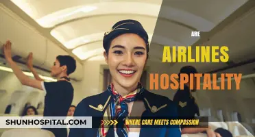 Are Airlines Hospitality? Exploring the Intersection of Travel and Service