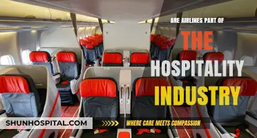 Hospitality's Air Travel: Airlines and Their Industry Classification