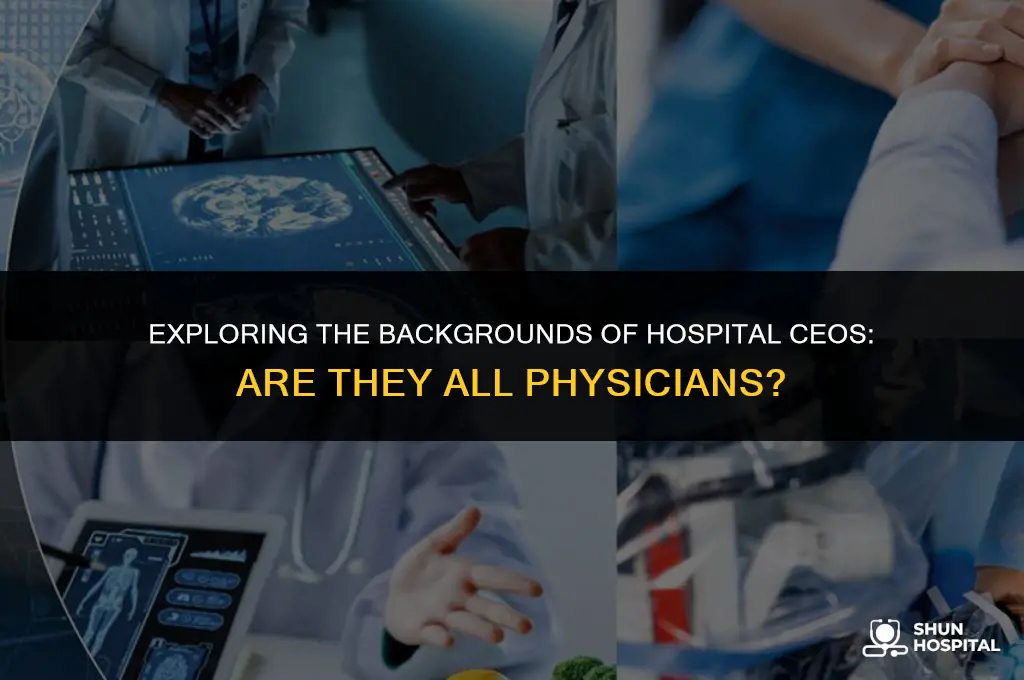 are all hospital ceo