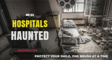 Are All Hospitals Haunted? Exploring the Eerie Side of Healthcare