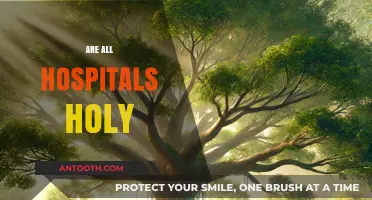 Are All Hospitals Holy? Exploring the Sacred and Secular in Healthcare