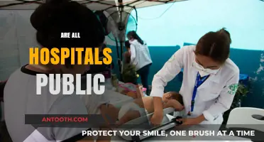 Are All Hospitals Public? Exploring Healthcare Ownership Models