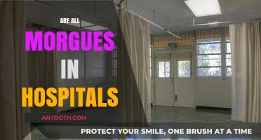 Are All Morgues in Hospitals? Exploring Mortuary Locations and Functions