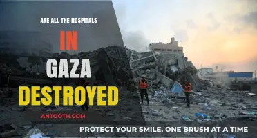 Gaza's Hospitals: Devastation and Resilience Amidst Conflict