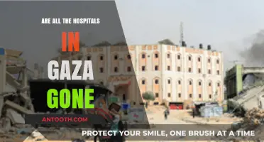 Gaza's Healthcare System: Hospitals Under Attack