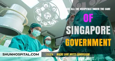 Singapore's Healthcare System: Are All Hospitals Government-Run?