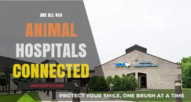 Exploring the Network: Are All VCA Animal Hospitals Connected?