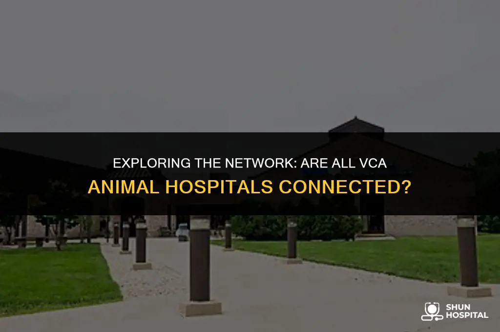 are all vca animal hospitals connected