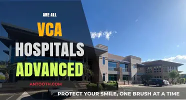 Are All VCA Hospitals Advanced? Exploring Facilities and Care Standards