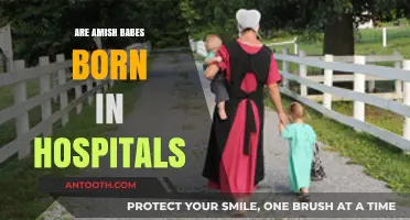 Amish Birthing Traditions: Hospital Births Among the Amish