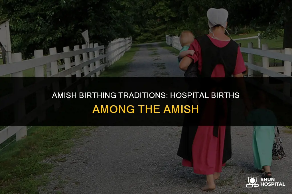 are amish babes born in hospitals