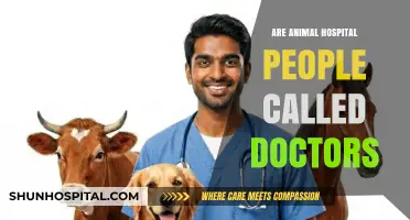 Vet or Doctor? Understanding Titles in Animal Healthcare