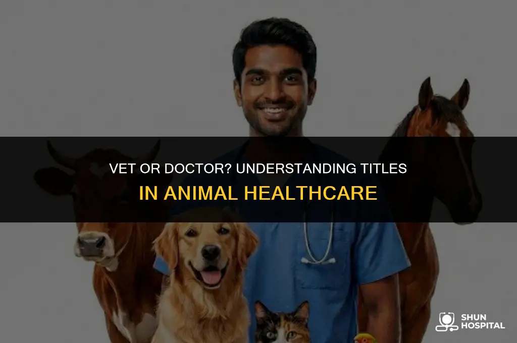 are animal hospital people called doctors