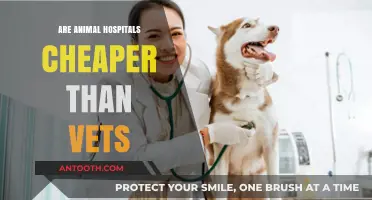 Exploring Cost Differences: Animal Hospitals vs. Vets