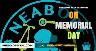 Animal Hospitals: Memorial Day Opening Hours