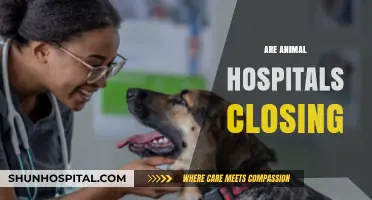 Are Animal Hospitals Closing? Exploring the Current Veterinary Care Crisis