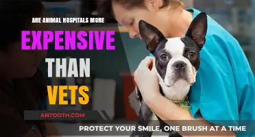 Animal Hospitals vs. Vets: Who Charges More?