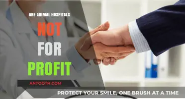 Exploring the Financial Structure of Animal Hospitals: Non-Profit or For-Profit?