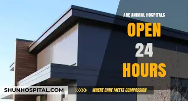 Round-the-Clock Care for Pets: Are Animal Hospitals Always Open?