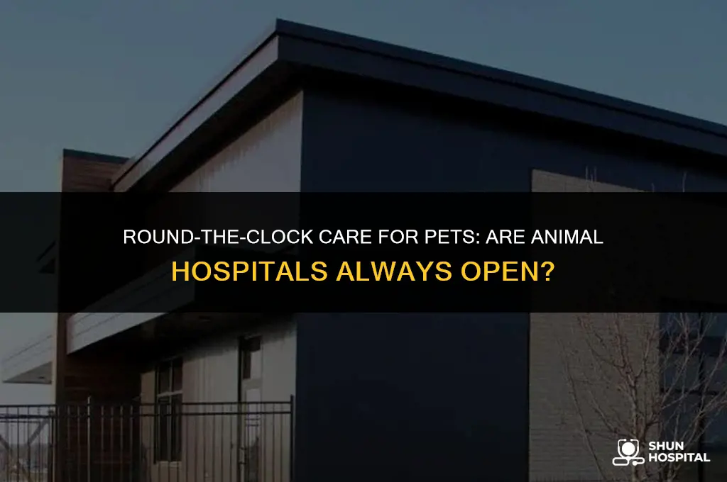 are animal hospitals open 24 hours