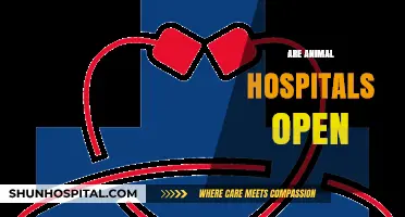 Are Animal Hospitals Open? Essential Info for Pet Owners