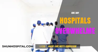 Are Hospitals Overwhelmed? Examining Healthcare Capacity Amid Rising Demands