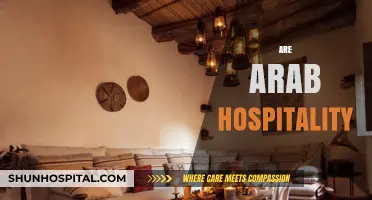 Exploring the Timeless Tradition of Arab Hospitality: Culture, Customs, and Warmth