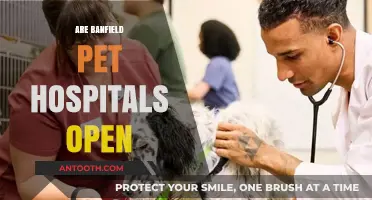Are Banfield Pet Hospitals Open? Hours and Availability Explained