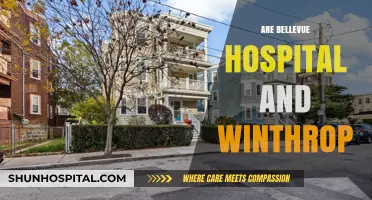 Bellevue Hospital and Winthrop: Comparing Services, Locations, and Care Quality