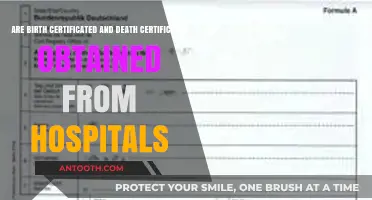 Birth and Death Certificates: Are Hospitals the Issuing Authority?
